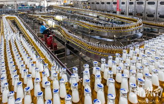 華潤(rùn)雪花啤酒湘西工廠 旺季生產(chǎn)“火力全開(kāi)”，推動(dòng)區(qū)域產(chǎn)業(yè)升級(jí)